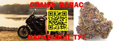 стаф Бугуруслан